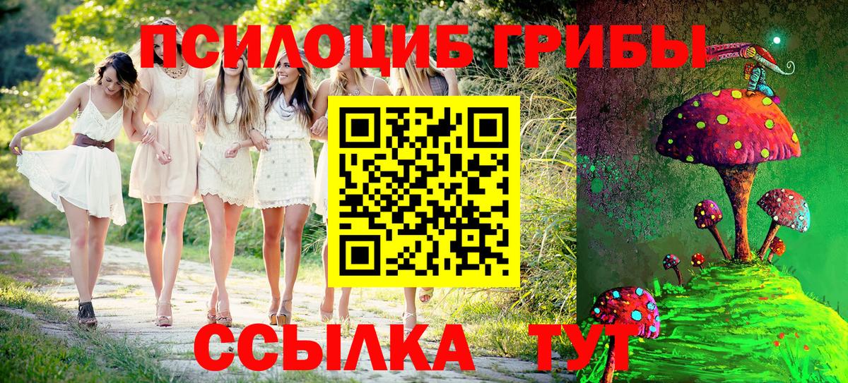 Малоярославец  Псилоцибиновые грибы MAGIC MUSHROOMS  Вход с VPN 
