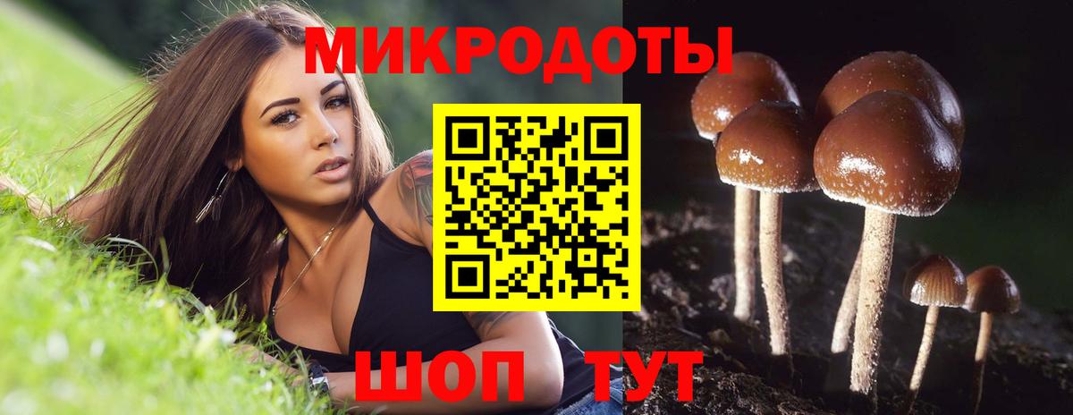 Галлюциногенные грибы GOLDEN TEACHER Малоярославец